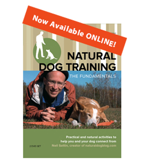 Natural Dog Training Order Button