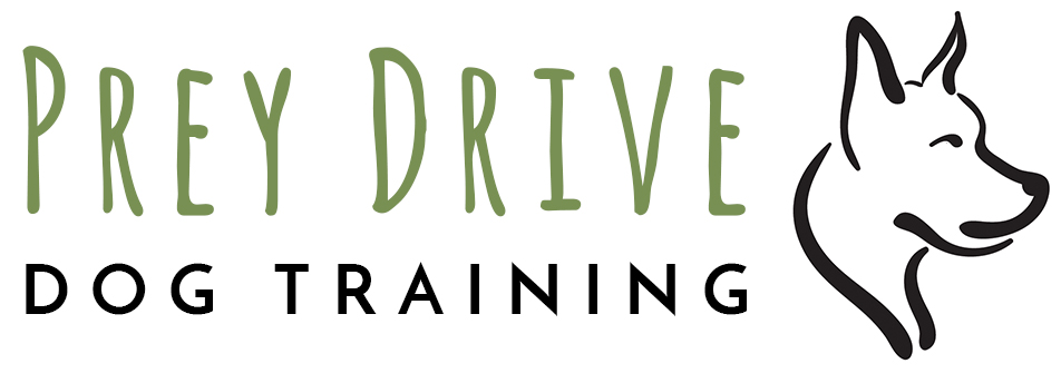 Prey Drive Dog Training